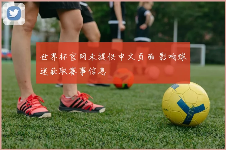 世界杯官网未提供中文页面 影响球迷获取赛事信息