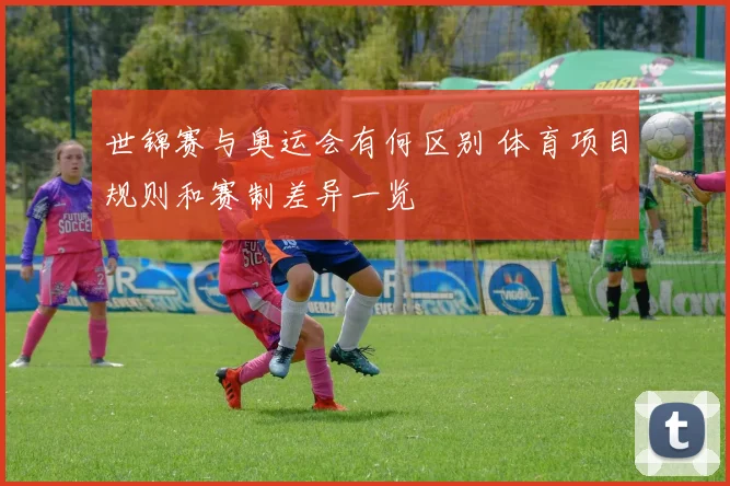 世锦赛与奥运会有何区别 体育项目规则和赛制差异一览