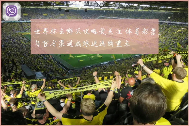 世界杯去哪买攻略受关注 体育彩票与官方渠道成球迷选购重点