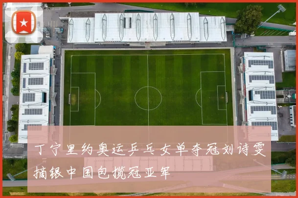 丁宁里约奥运乒乓女单夺冠刘诗雯摘银中国包揽冠亚军