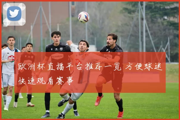 欧洲杯直播平台推荐一览 方便球迷快速观看赛事