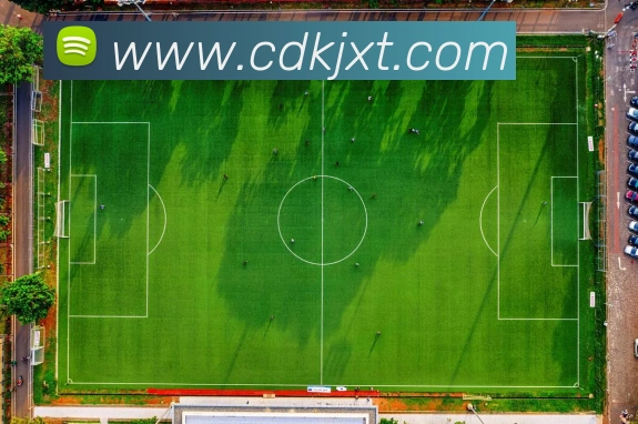 世界杯app官网服务体系